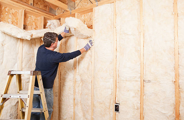 Best Soundproof Insulation  in Wellford, SC